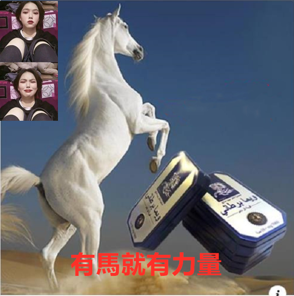 20103123340_1.png